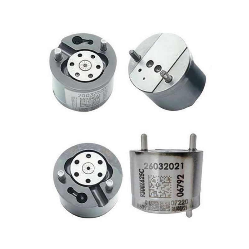 Delphi Control Valve